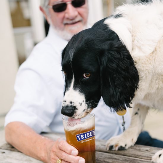Dog friendly pub in Roche